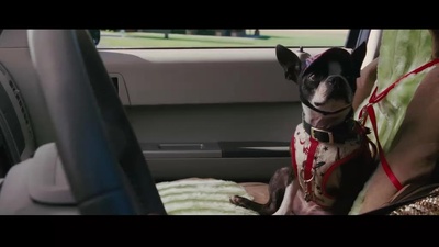 后备计划剧照的剧照