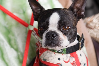 后备计划剧照的剧照