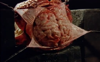 洗礼剧照的剧照