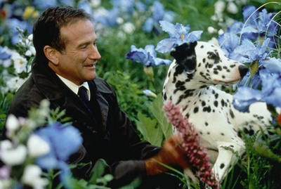 美梦成真剧照的剧照