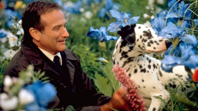 美梦成真剧照的剧照