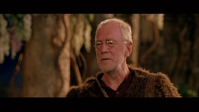 美梦成真剧照的剧照