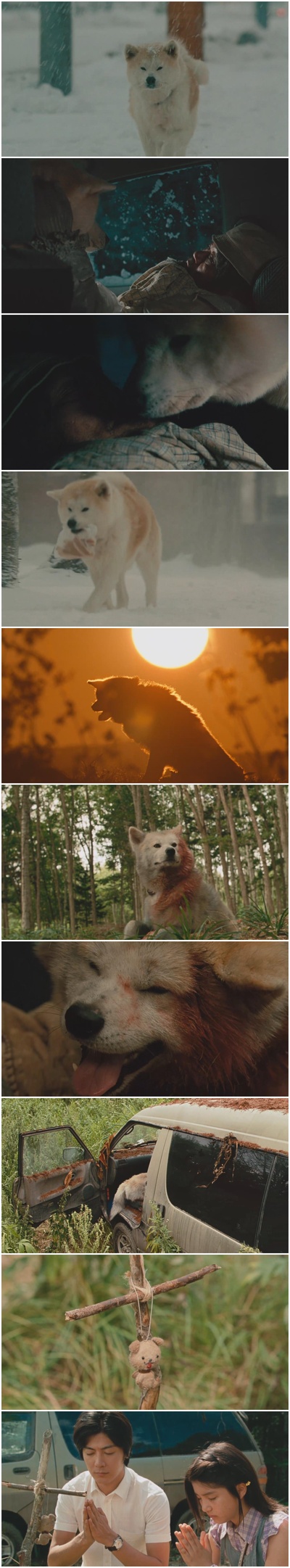 星守之犬剧照的剧照