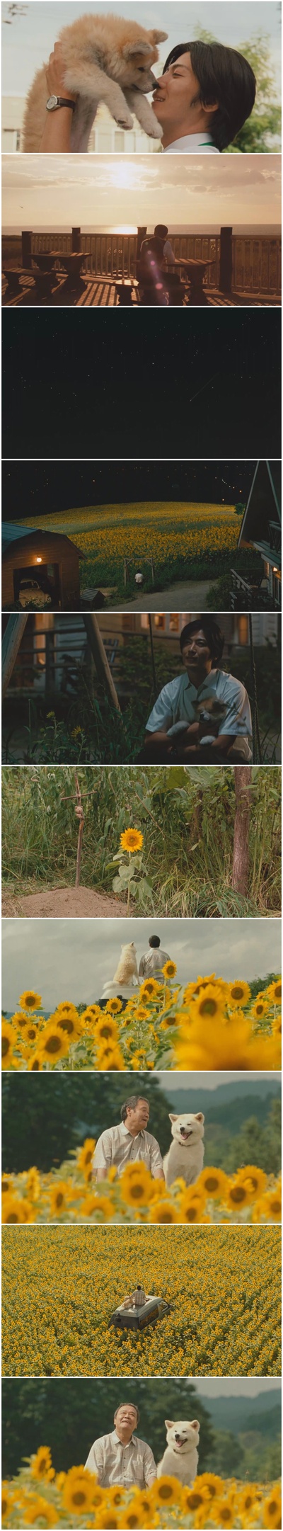 星守之犬剧照的剧照