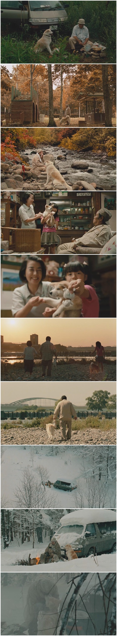 星守之犬剧照的剧照