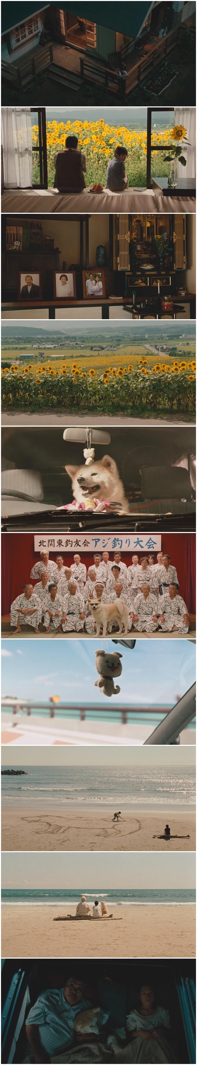 星守之犬剧照的剧照