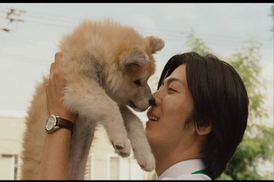 星守之犬剧照的剧照