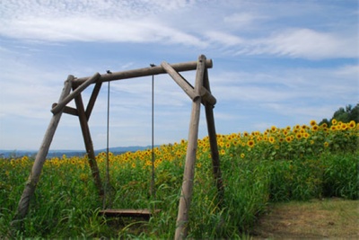 星守之犬剧照的剧照