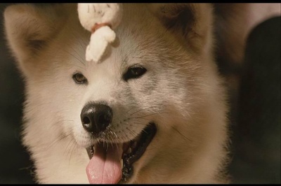 星守之犬剧照的剧照