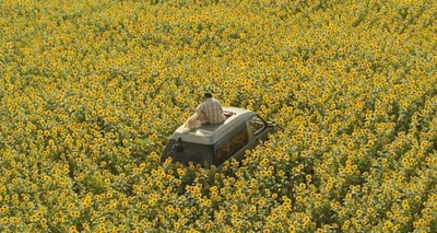 星守之犬剧照的剧照