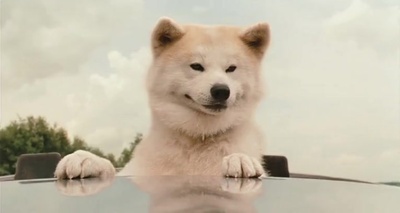 星守之犬剧照的剧照