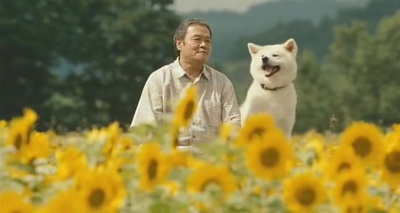 星守之犬剧照的剧照