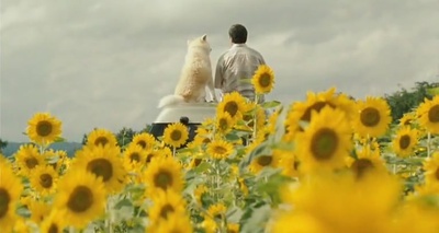 星守之犬剧照的剧照