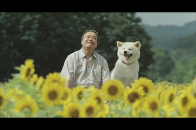 星守之犬剧照的剧照