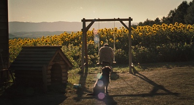 星守之犬剧照的剧照