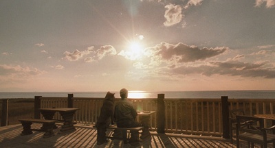 星守之犬剧照的剧照