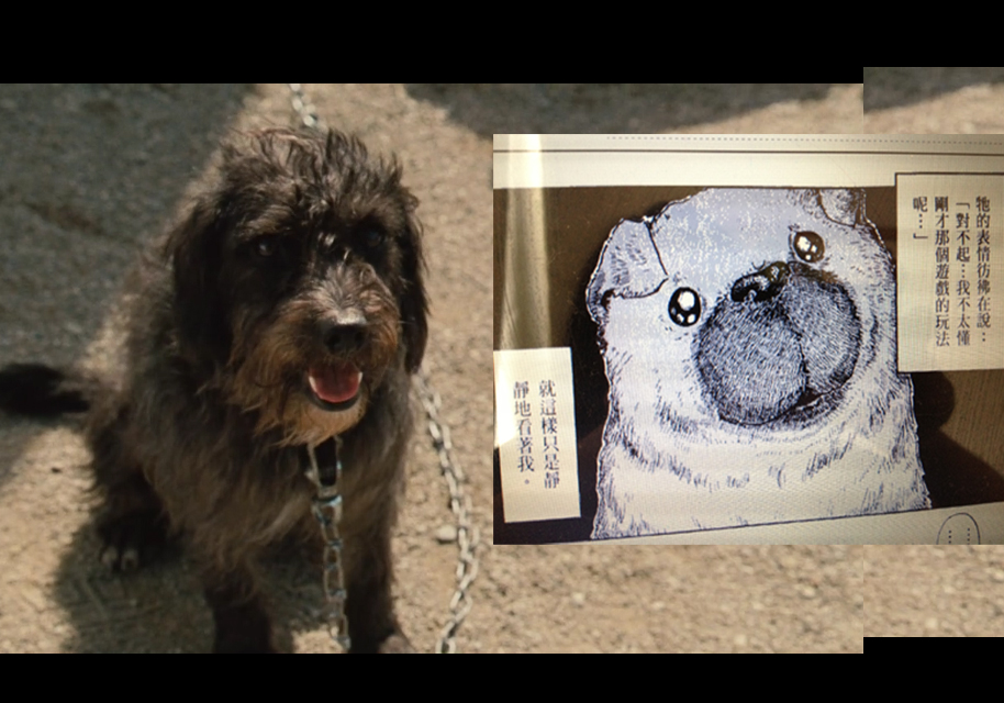 星守之犬剧照的剧照