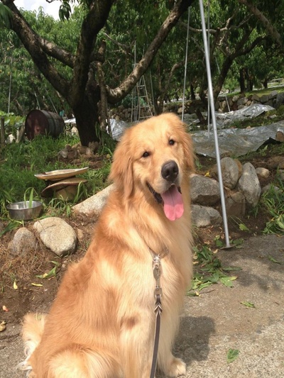 今天是再见的日子剧照的剧照