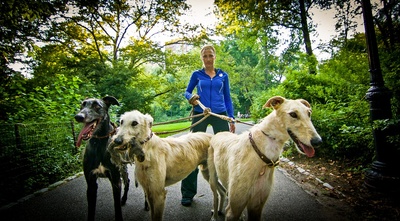 众神的恶作剧剧照的剧照