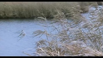 女杀油地狱剧照的剧照