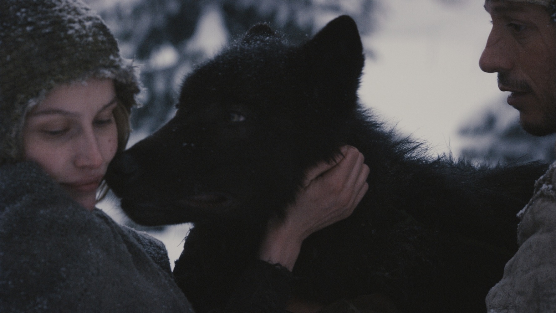 少女与狼剧照的剧照