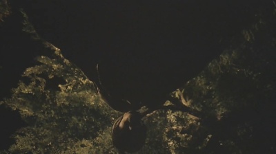 11:14剧照的剧照