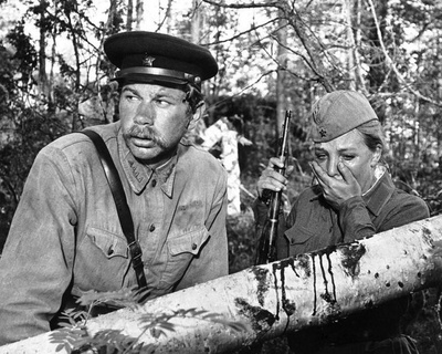 这里的黎明静悄悄剧照的剧照