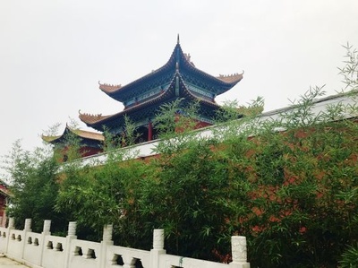 守护者联盟之天道学院剧照的剧照