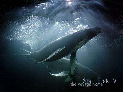 星际旅行4：抢救未来剧照的剧照