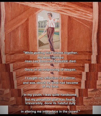 挣扎：生命与失落的艺术剧照的剧照