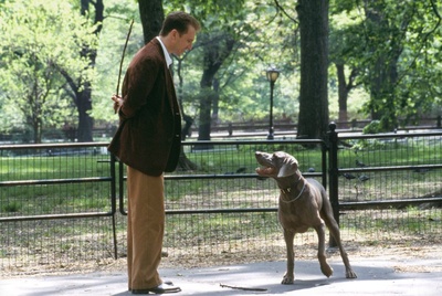 曼哈顿女佣剧照的剧照