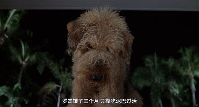 大麻烦剧照的剧照