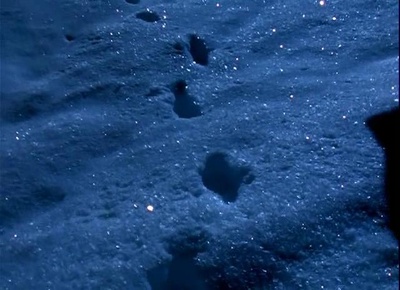 与狼同行剧照的剧照