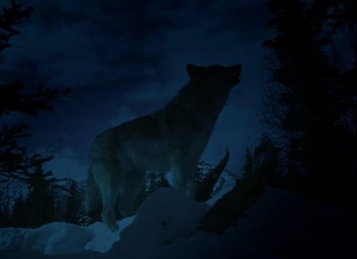 与狼同行剧照的剧照