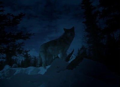 与狼同行剧照的剧照