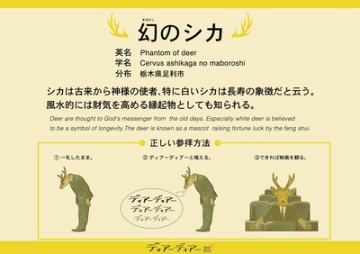 亲爱的小鹿剧照的剧照