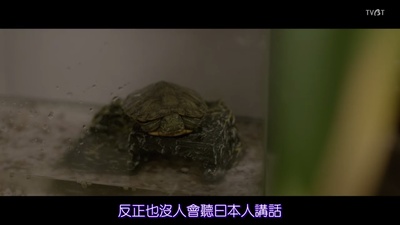 菜鸟评审员剧照的剧照