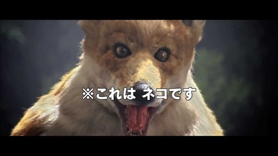 菜鸟评审员剧照的剧照