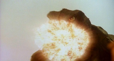 加美拉 大怪兽空中决战剧照的剧照