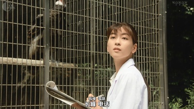 加美拉 大怪兽空中决战剧照的剧照