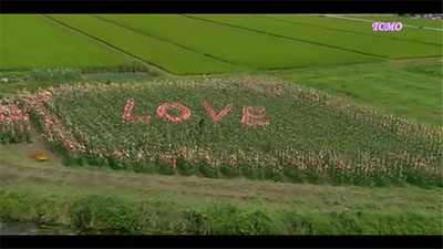 Jenifa泪石之恋剧照的剧照