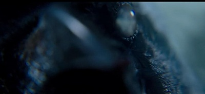 恶之教典剧照的剧照