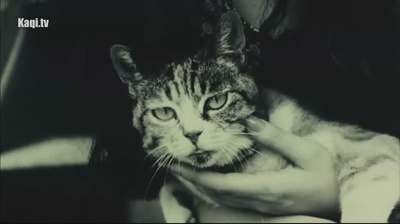 东京新爱人剧照的剧照