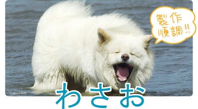 秋田犬蓬夫剧照的剧照