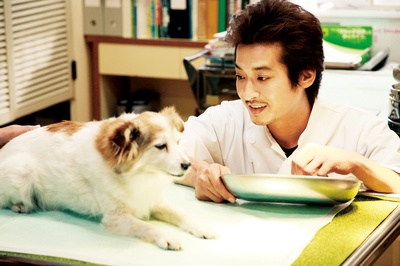 秋田犬蓬夫剧照的剧照