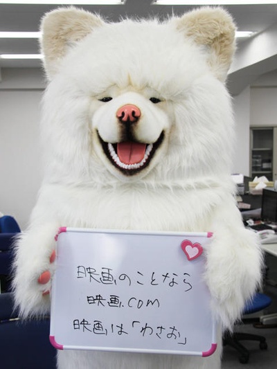 秋田犬蓬夫剧照的剧照