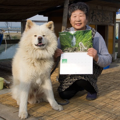 秋田犬蓬夫剧照的剧照