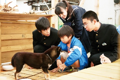 秋田犬蓬夫剧照的剧照