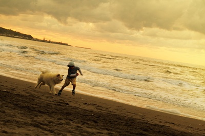 秋田犬蓬夫剧照的剧照