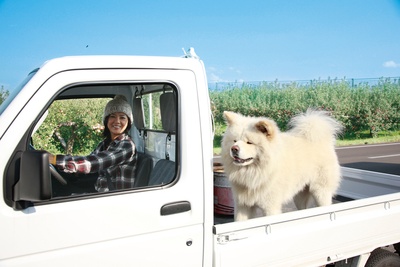 秋田犬蓬夫剧照的剧照